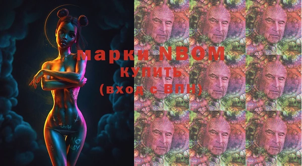 СК Алексин