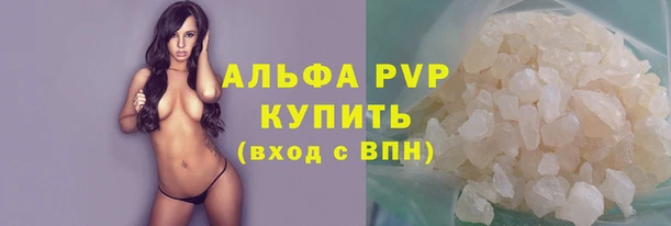 СК Алексин