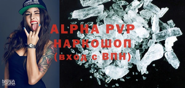 СК Алексин
