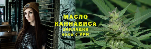 СК Алексин