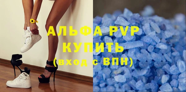 СК Алексин