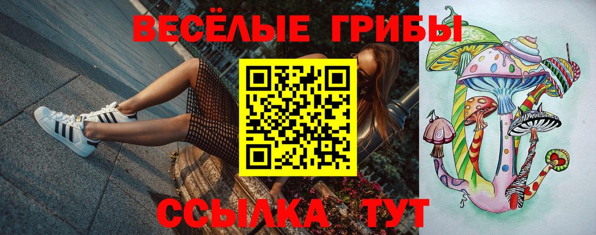 Псилоцибиновые грибы прущие грибы Курганинск